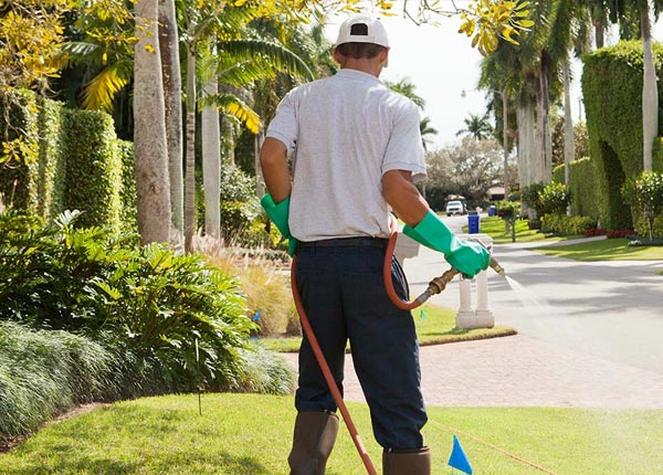 About Celina TN Pest Control Pros